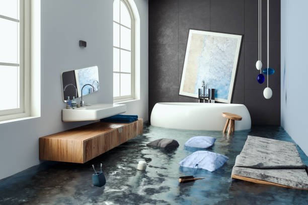 Best Commercial water damage restoration  in Princeton, MN