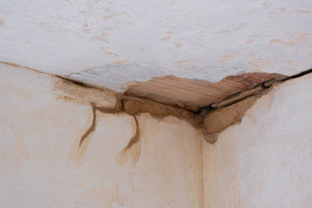 Best Flood damage cleanup  in Princeton, MN