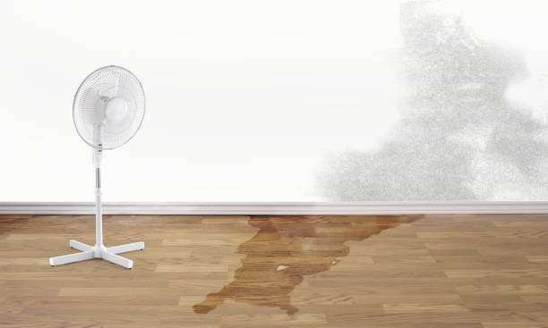  Princeton, MN Water damage restoration Pros