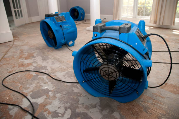 Water damage restoration process in MN