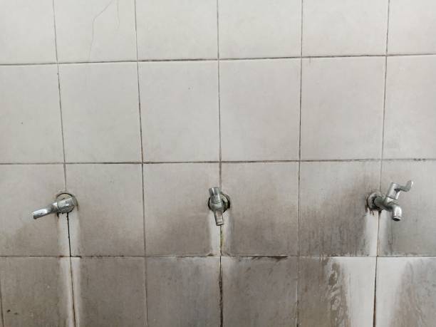 Best Flood restoration services  in Princeton, MN