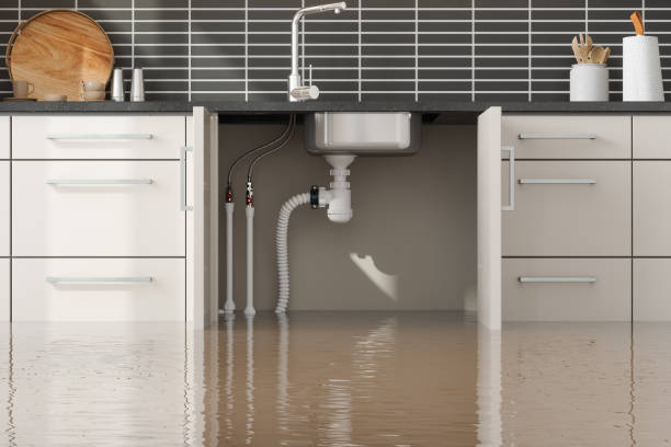 Best Residential water damage restoration  in Princeton, MN