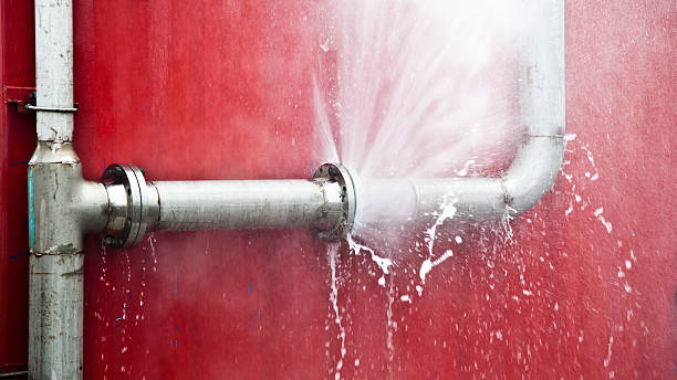 Best Professional water damage repair  in Princeton, MN